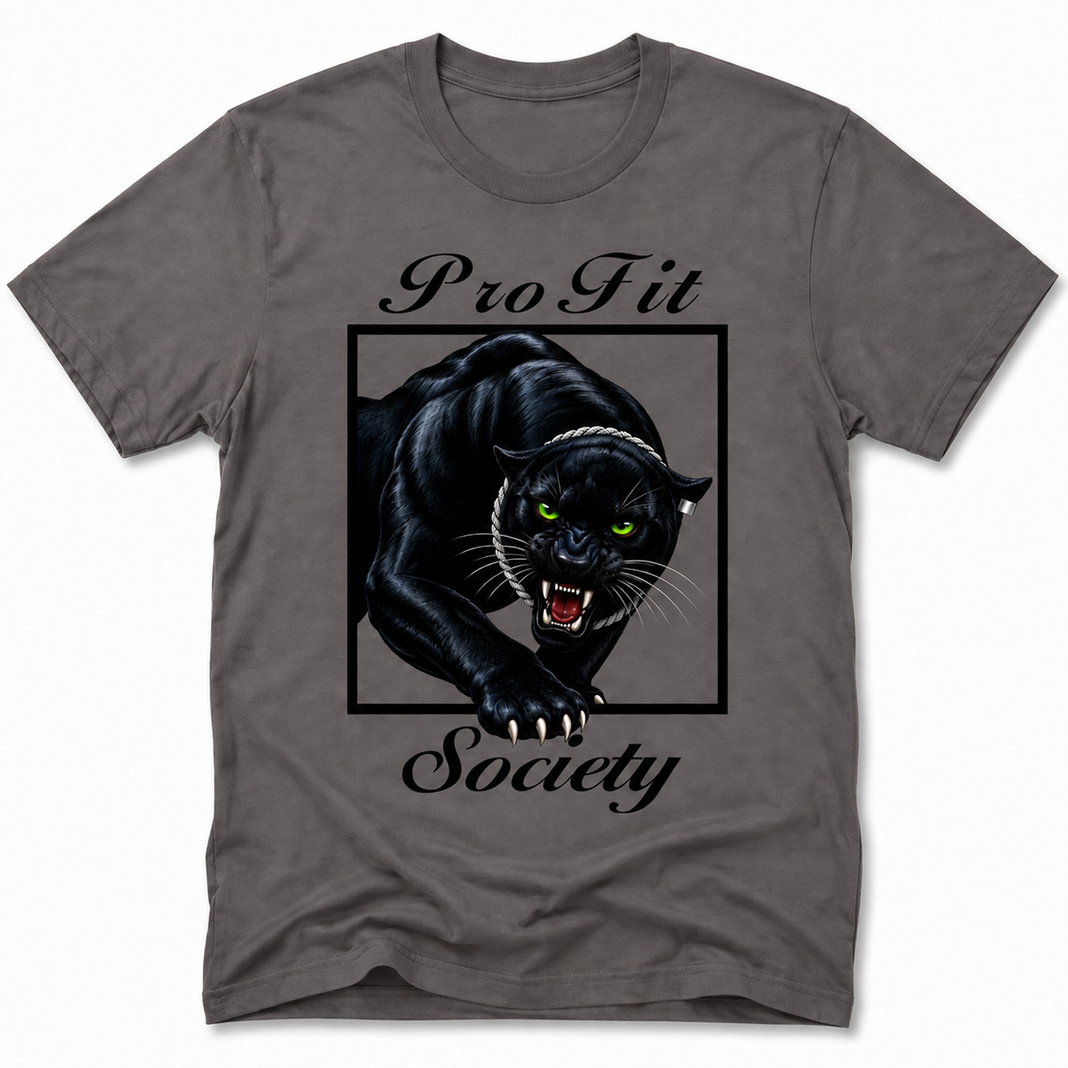 PANTHER STATUS